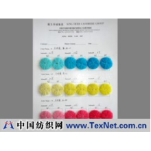 北京中永业科技有限公司 -XTD系列低温染色助剂